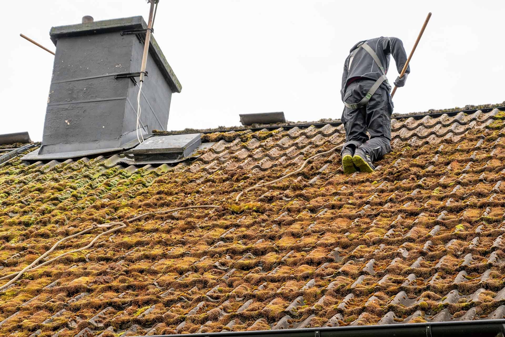 Roof Cleaning work by Budgetwise Property Maintenance