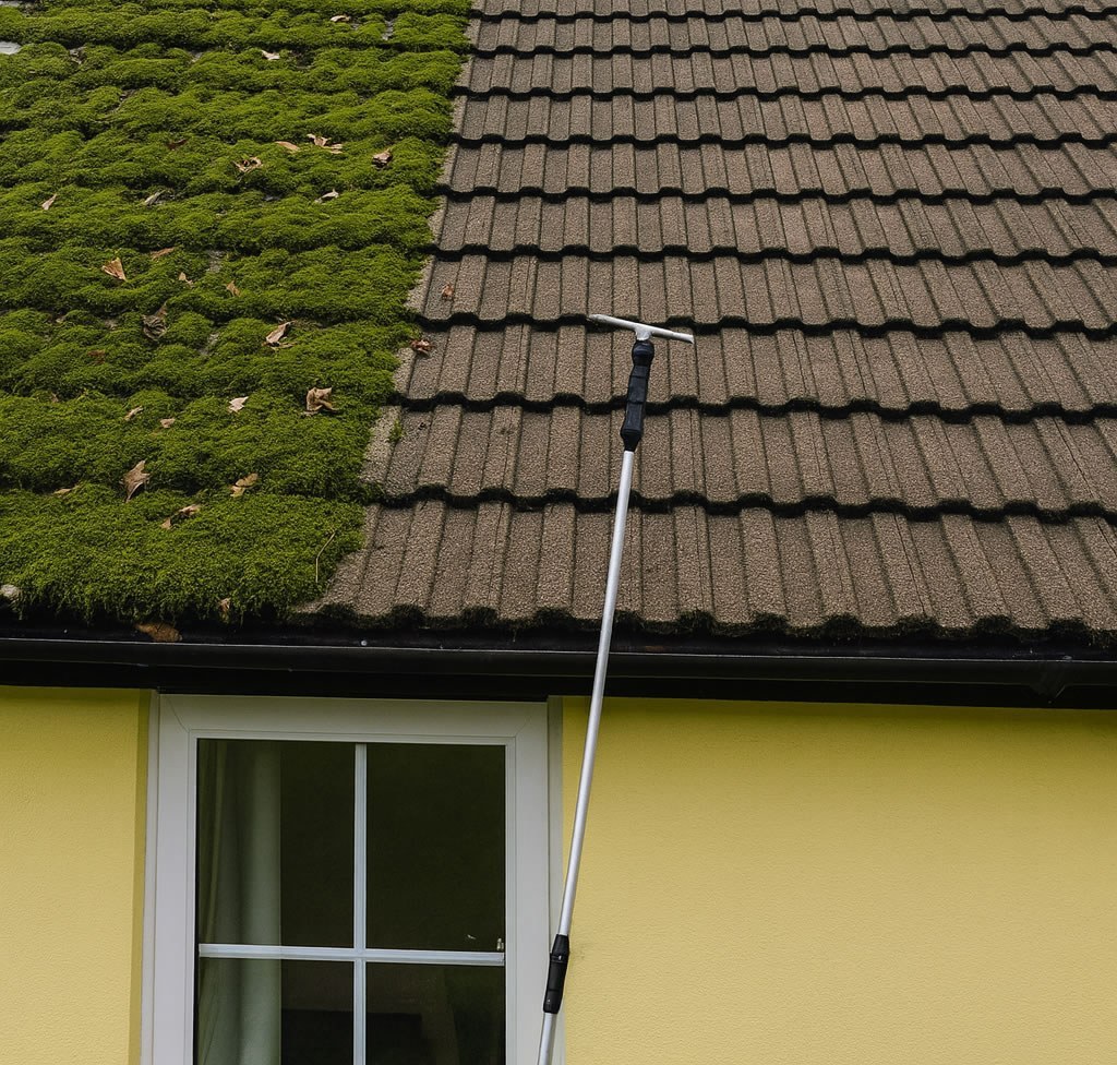 Roof Cleaning example 2