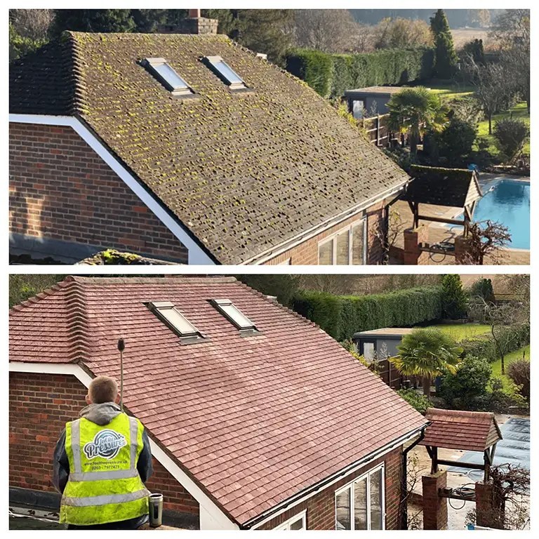 Roof Cleaning example 4